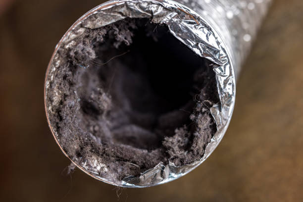 Best HVAC Maintenance and Cleaning  in Pine Island Center, FL